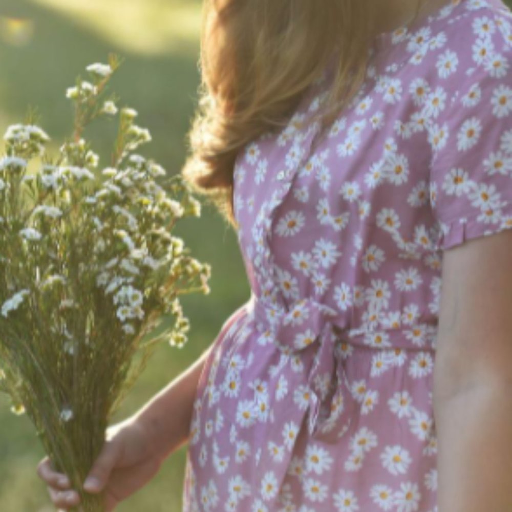 NWOT Modcloth floral shirtdress size 6